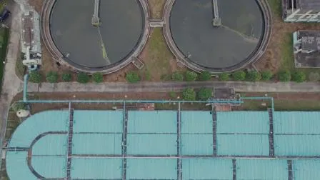Litree UF Membrane Module for Water Treatment Plant