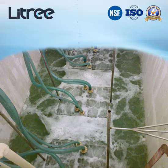 Litree UF Membrane Module for Water Treatment Plant